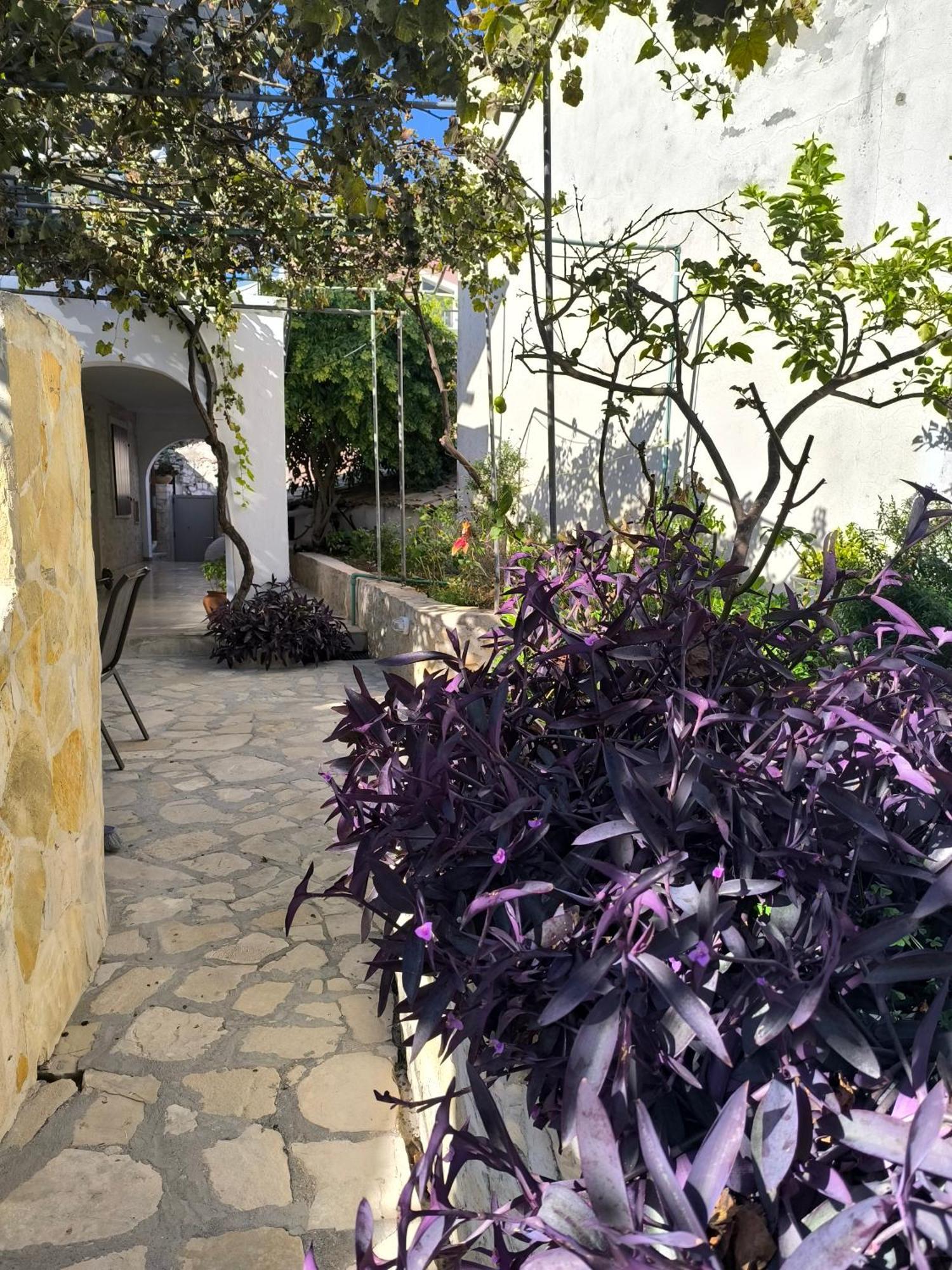 Poseidon Apartments Γάιος Εξωτερικό φωτογραφία